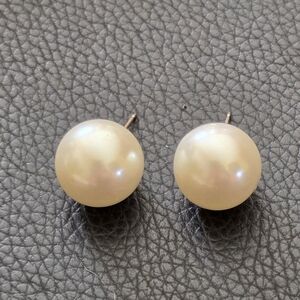 Pearl Stud Earrings in Cream - Unbranded